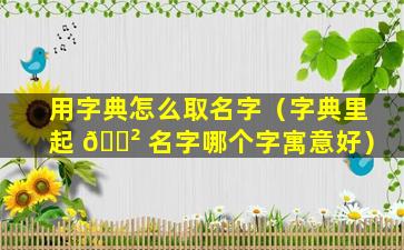 用字典怎么取名字（字典里起 🌲 名字哪个字寓意好）